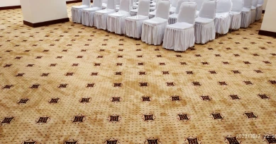 Project Proyek Hall Kebayoran, Jakarta. Karpet Wilton Cambridge. Total Pemasangan : 250 M2 1 ~blog/2023/10/11/whatsapp_image_2023_10_11_at_12_44_45