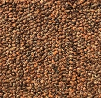 Jual Karpet Roll EO-824 TERRA BROWN ~blog/2023/9/13/whatsapp_image_2023_09_13_at_15_32_58_1