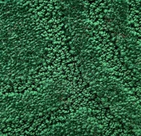 Jual Karpet Roll TD-403 JUNGLE GREEN ~blog/2023/9/6/whatsapp_image_2023_09_06_at_11_49_18_2