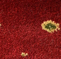 Jual Karpet Roll BRL-03.10 RED ~blog/2023/9/9/whatsapp_image_2023_09_09_at_11_26_47