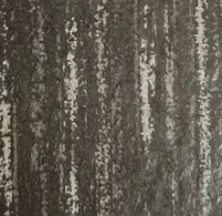 Jual Karpet Tile AP-709 Black Charcoal ~blog/2024/4/17/whatsapp_image_2024_04_17_at_12_09_17
